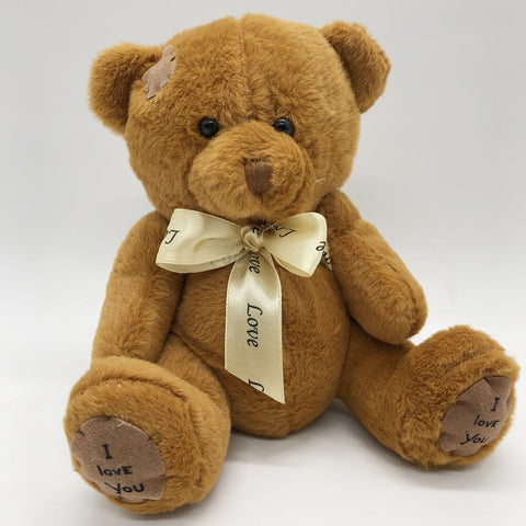Soft plush Teddy Bear